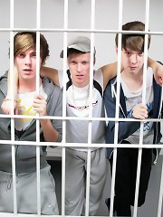 So what do you reckon happens when you put a horny chav in the same police cell as a couple of randy hoodies? Will the animals fight? Will they mate?